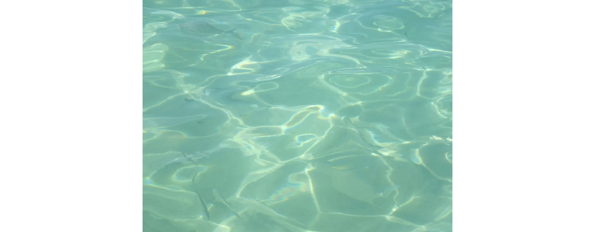 El agua de mi piscina está sucia ¿Qué tengo que hacer?